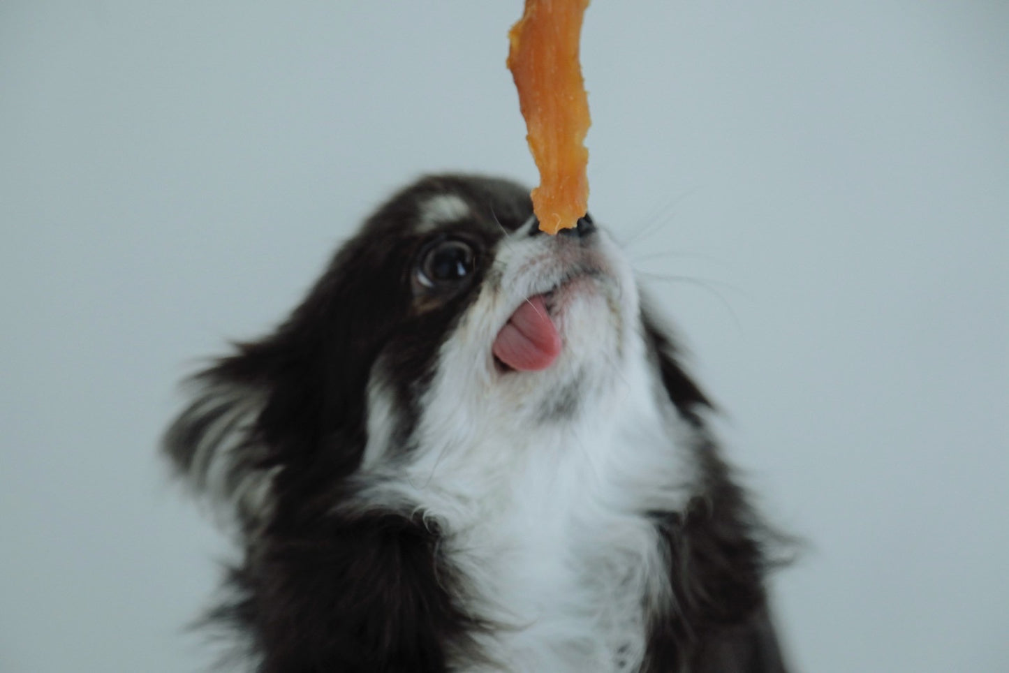 IMO CELEB（芋セレブ）