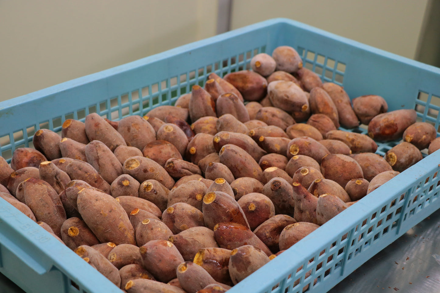 IMO CELEB（芋セレブ）